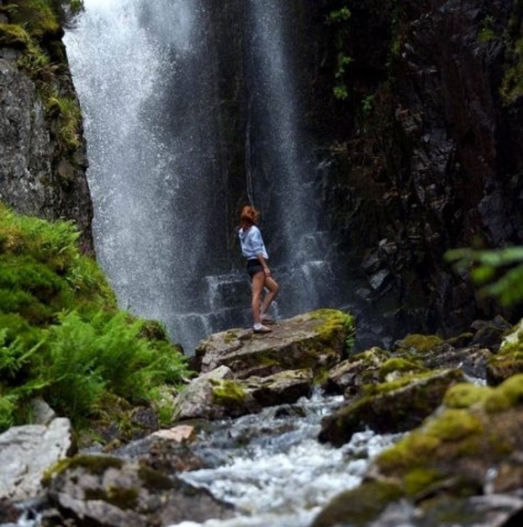 Meet your Posher, Rosie - Picture 1 of 1